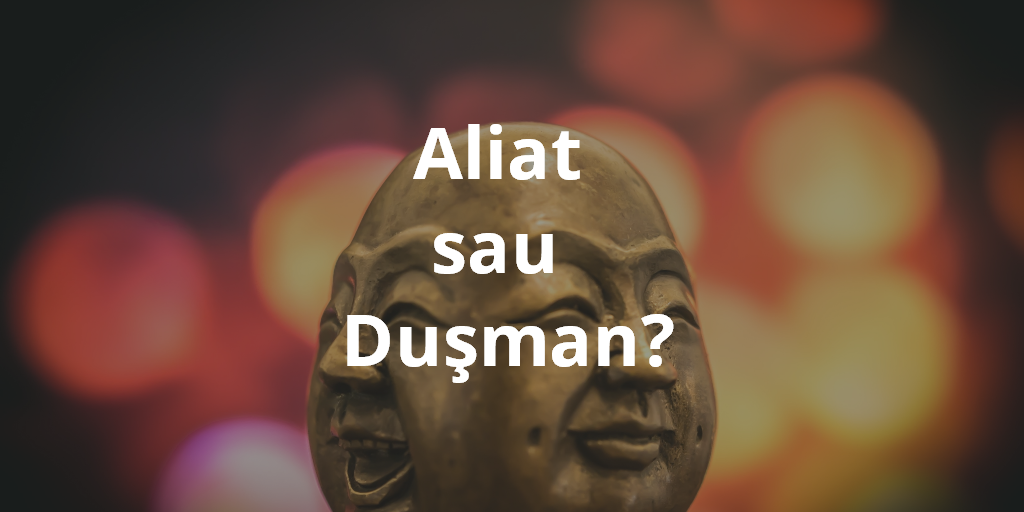 Aliat Sau Duşman?