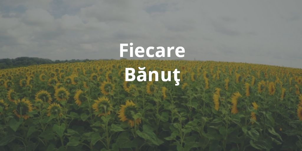 Fiecare Bănuţ
