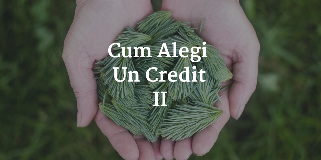 Cum Alegi Un Credit (Partea 2 Din 2)