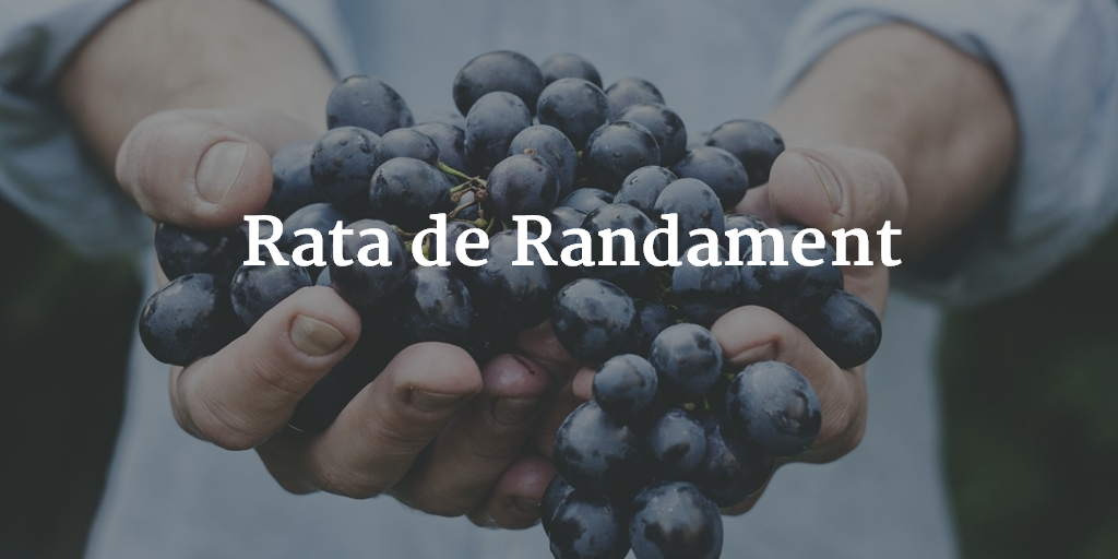 Rata De Randament