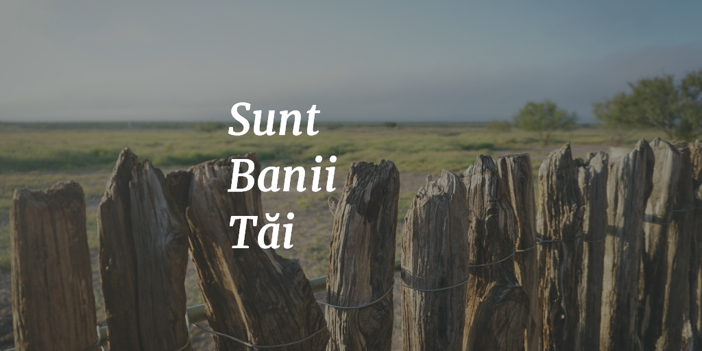 Sunt Banii Tăi