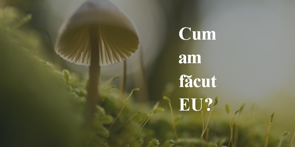 Cum Am Făcut EU?