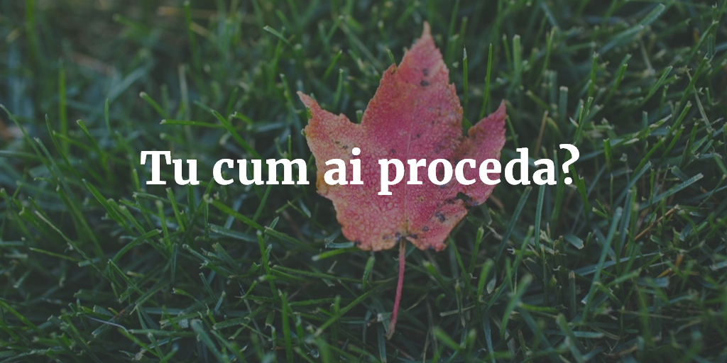 Tu Cum Ai Proceda?
