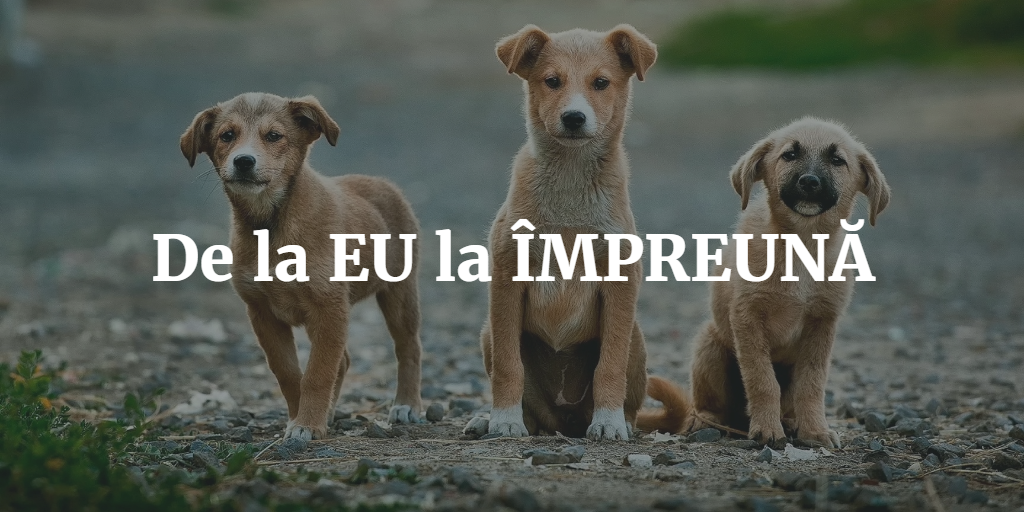 De La EU La ÎMPREUNĂ