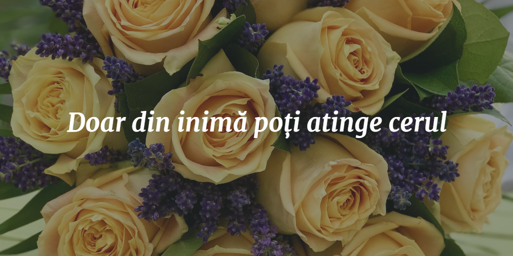 Doar Din Inimă Poți Atinge Cerul.