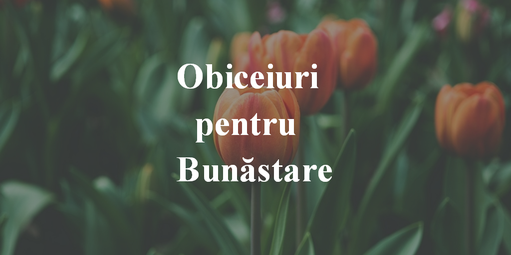 Obiceiuri Pentru Bunăstare