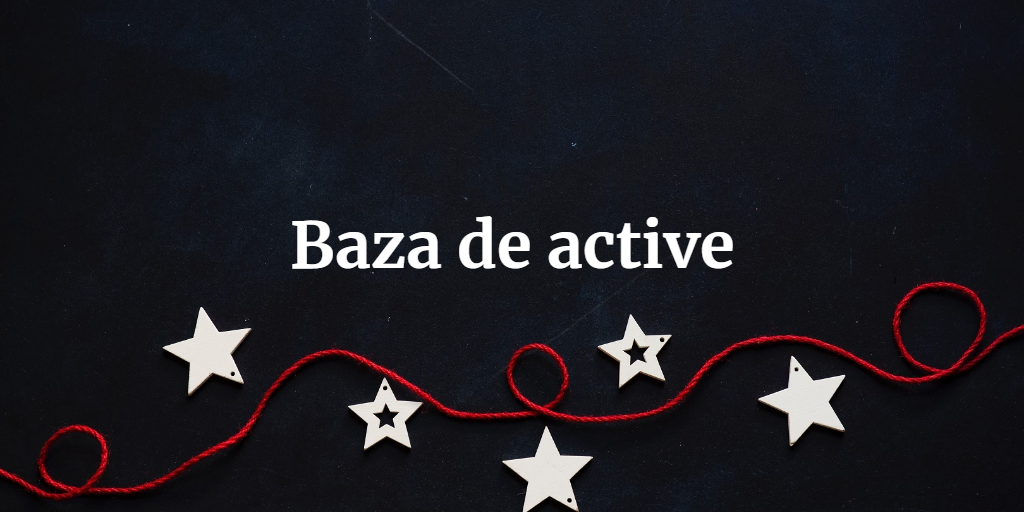 Baza De Active